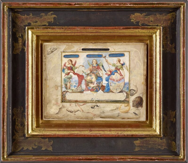 Maria Sybilla Merian. Transgressio, Satisfactio, Reperatio. 1671. Aquarell auf Pergament. 18,5 x 24,5cm