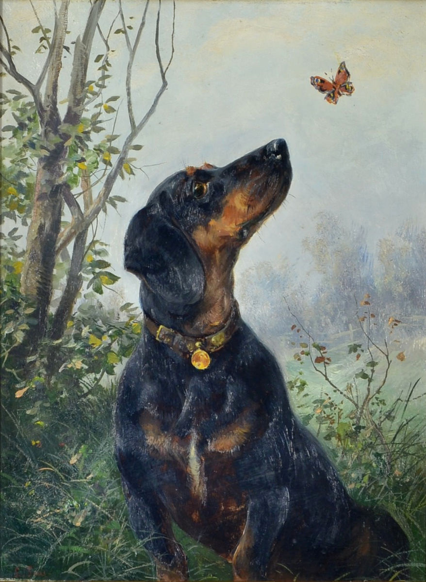 Ludwig Benno Fay . Dackel mit Schmetterling . Öl /Holz . 32 x 23,5 cm