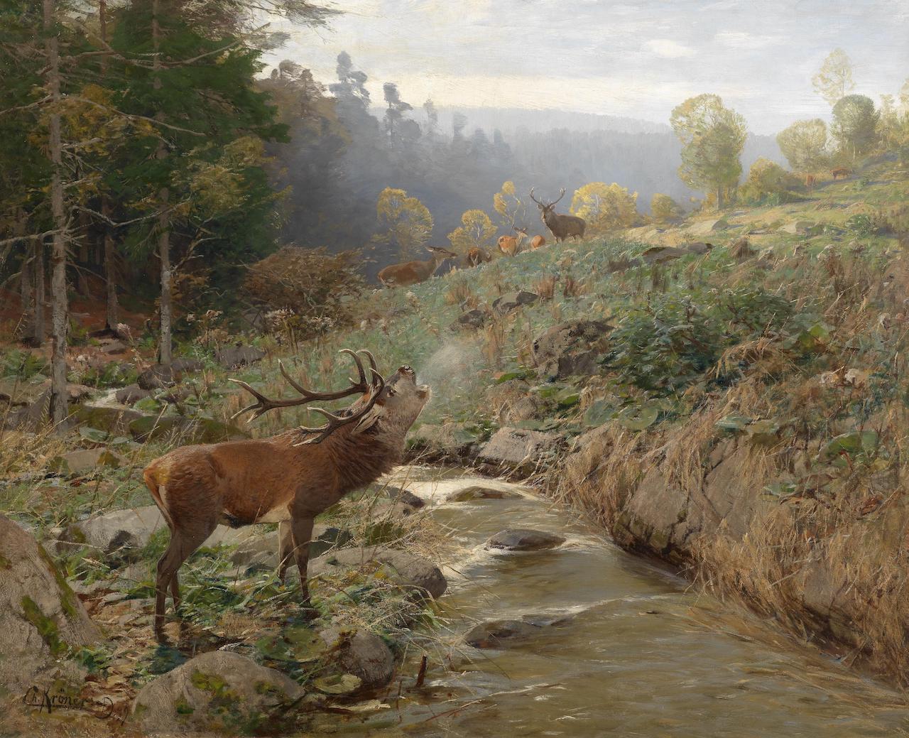 Christian Johann Kröner. Rotwildrudel auf einer Waldlichtung. 1899. Öl / Leinwand. 81,5 x 101cm