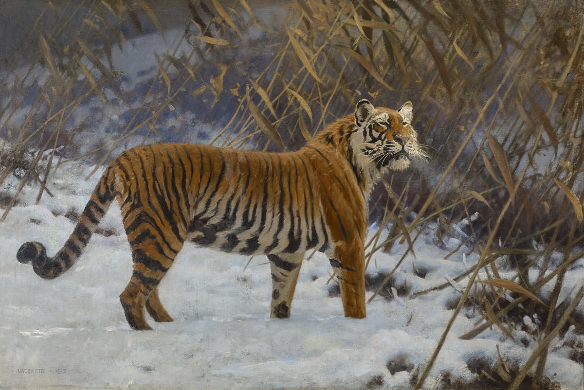 Hugo Ungewitter. Herumstreunender Tiger im Schnee. 1912. Öl / Leinwand. 101 x 150cm