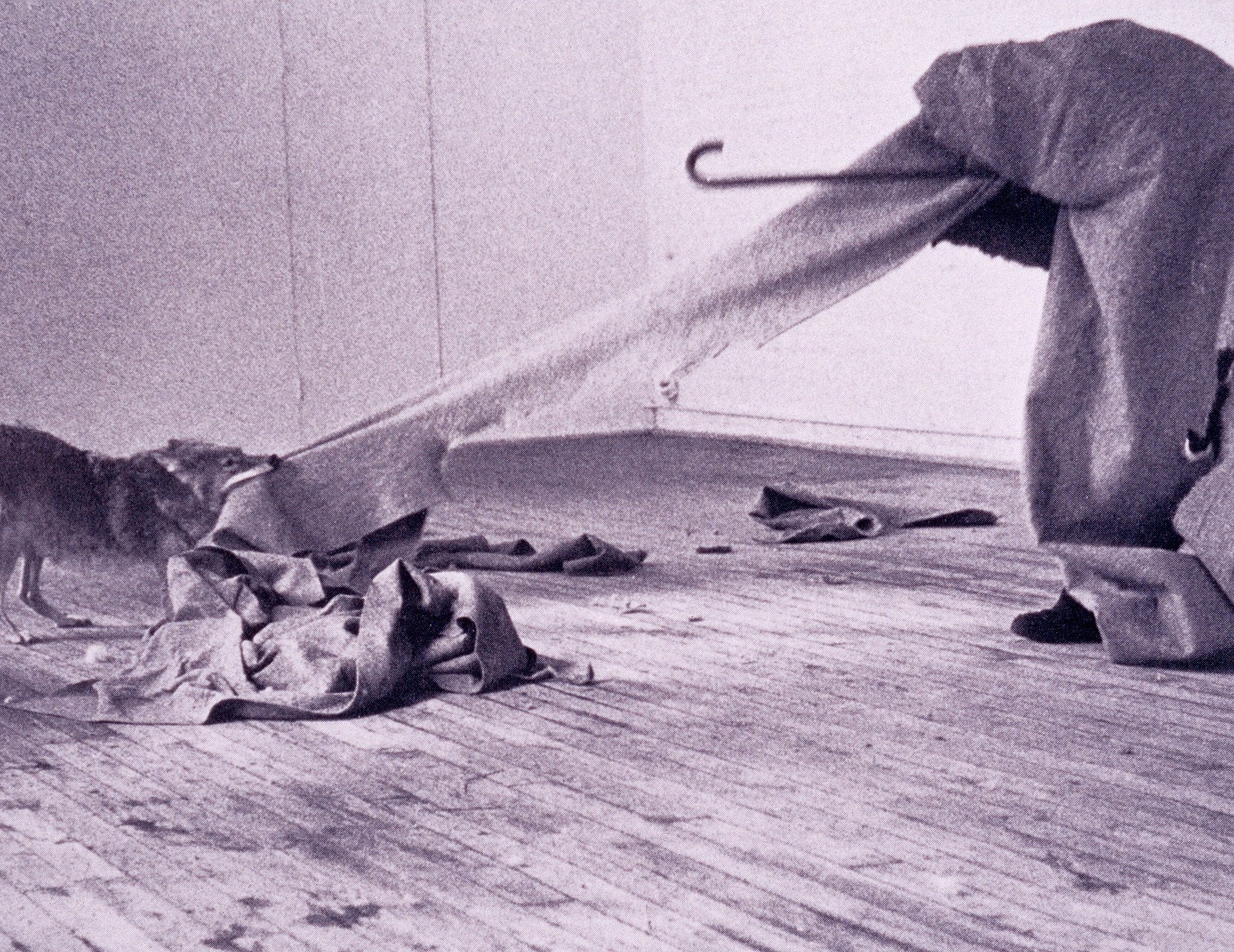 Joseph Beuys. Coyote, I like America and America likes me. 1974. Galerie René Block. New York