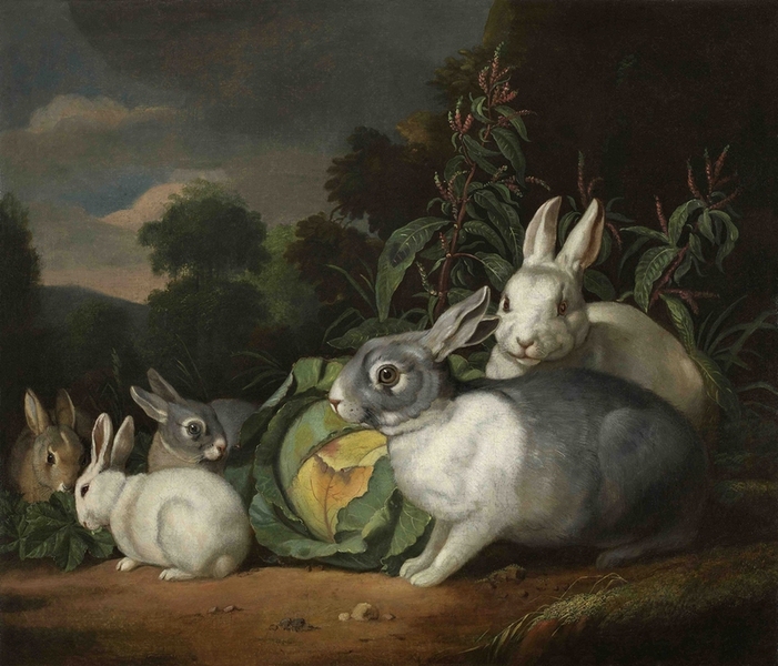 Jacob Samuel Beck. Stillleben mit Häschen. Jacob Samuel Beck. Stillleben mit Häschen.